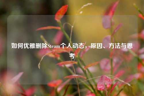 如何优雅删除Steam个人动态,原因、方法与思考