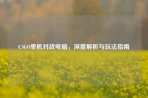 CSGO单机对战电脑,深度解析与玩法指南