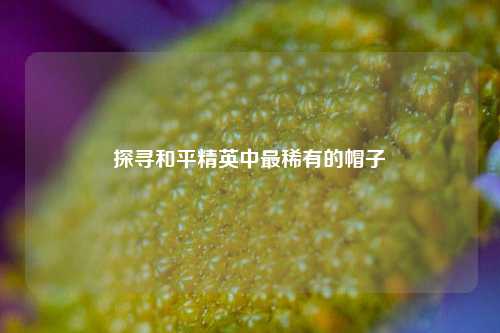探寻和平精英中最稀有的帽子