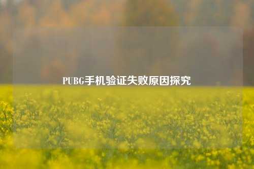 PUBG手机验证失败原因探究