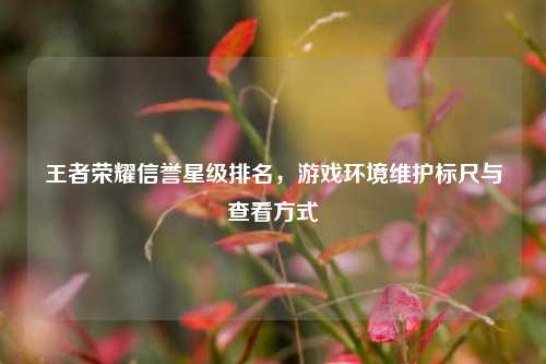 王者荣耀信誉星级排名,游戏环境维护标尺与查看方式