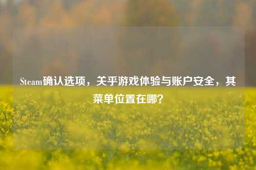 Steam确认选项，关乎游戏体验与账户安全，其菜单位置在哪？