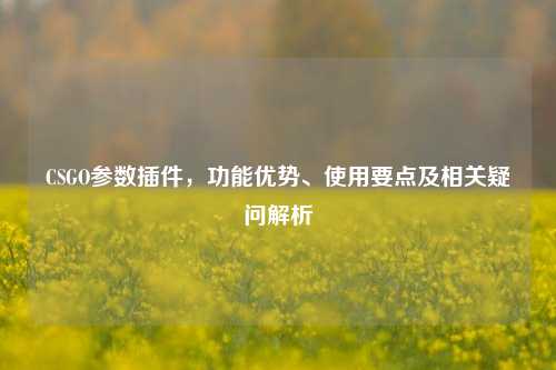 CSGO参数插件，功能优势、使用要点及相关疑问解析