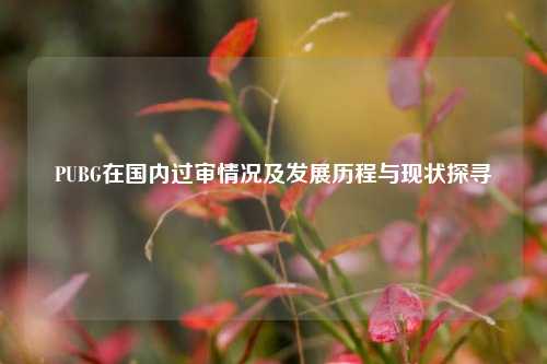 PUBG在国内过审情况及发展历程与现状探寻