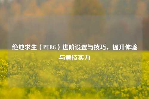 绝地求生(PUBG)进阶设置与技巧,提升体验与竞技实力
