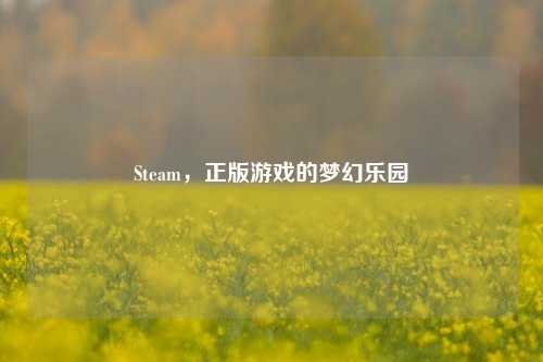 Steam，正版游戏的梦幻乐园