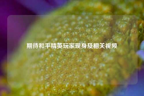 期待和平精英玩家现身及相关视频