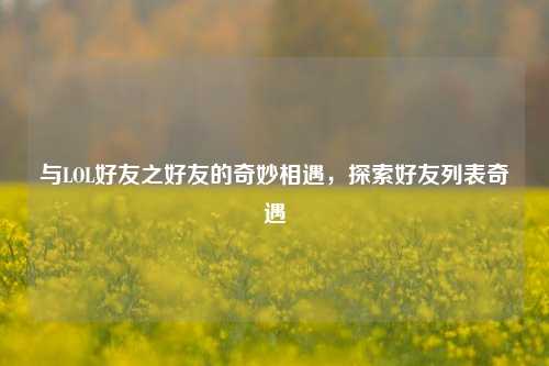 与LOL好友之好友的奇妙相遇,探索好友列表奇遇