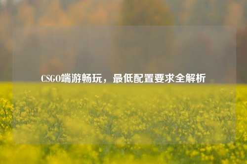 CSGO端游畅玩,最低配置要求全解析