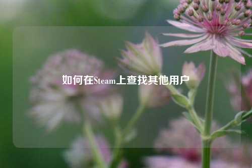 如何在Steam上查找其他用户