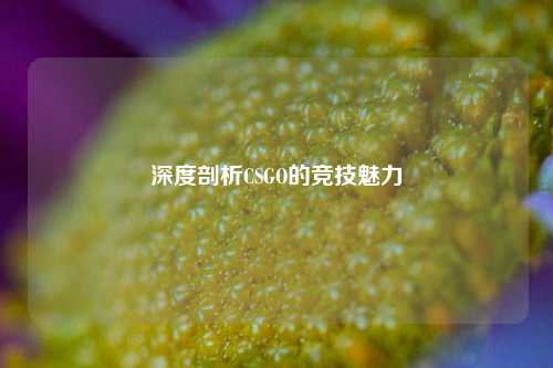 深度剖析CSGO的竞技魅力