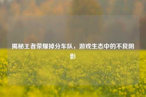 揭秘王者荣耀掉分车队,游戏生态中的不良阴影