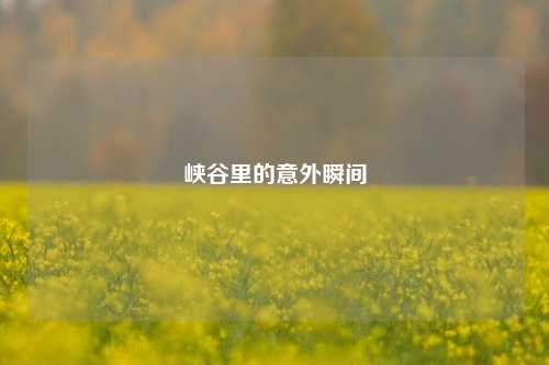 峡谷里的意外瞬间