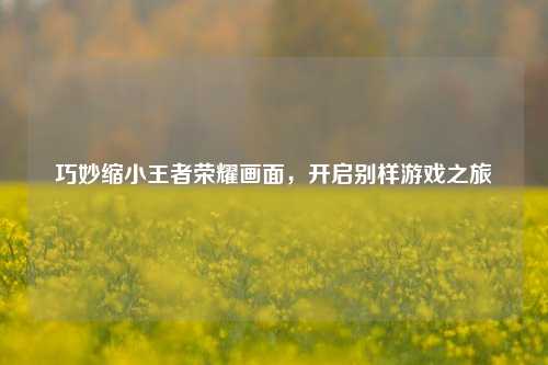 巧妙缩小王者荣耀画面,开启别样游戏之旅