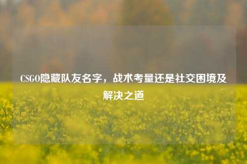 CSGO隐藏队友名字,战术考量还是社交困境及解决之道