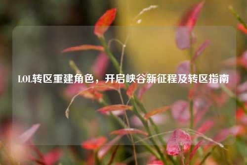 LOL转区重建角色,开启峡谷新征程及转区指南