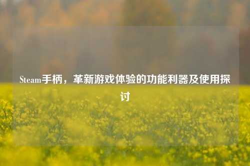 Steam手柄，革新游戏体验的功能利器及使用探讨