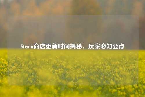 Steam商店更新时间揭秘，玩家必知要点