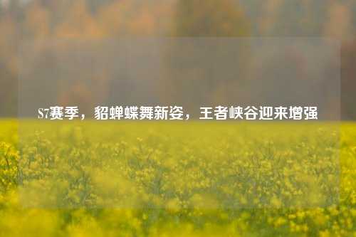 S7赛季,貂蝉蝶舞新姿,王者峡谷迎来增强