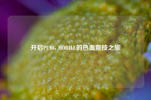 开启PUBG MOBILE的热血竞技之旅
