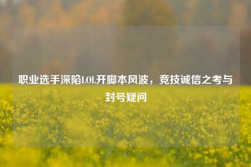 职业选手深陷LOL开脚本风波,竞技诚信之考与封号疑问