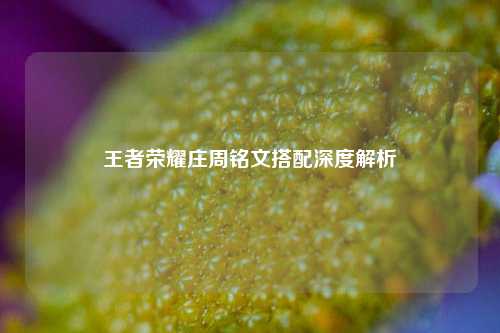 王者荣耀庄周铭文搭配深度解析
