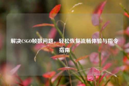 解决CSGO帧数问题,轻松恢复流畅体验与指令指南