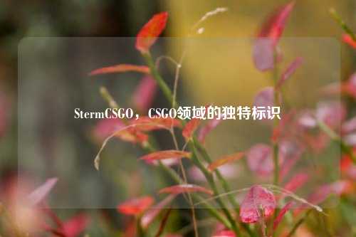 StermCSGO，CSGO领域的独特标识