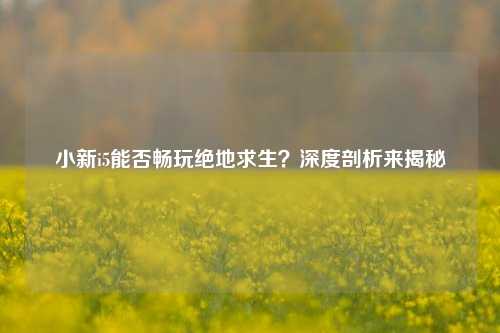 小新i5能否畅玩绝地求生？深度剖析来揭秘