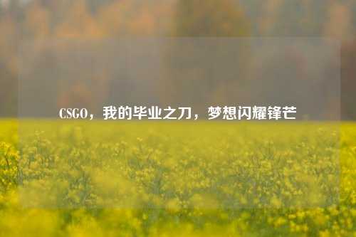 CSGO,我的毕业之刀,梦想闪耀锋芒