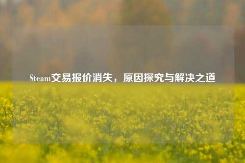 Steam交易报价消失,原因探究与解决之道