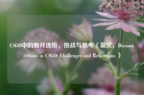 CSGO中的断开连接,挑战与思考(英文,Disconnections in CSGO: Challenges and Reflections )