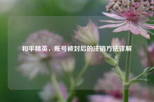 和平精英,账号被封后的注销方法详解
