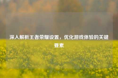 深入解析王者荣耀设置，优化游戏体验的关键要素