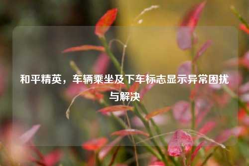 和平精英，车辆乘坐及下车标志显示异常困扰与解决