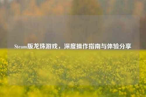 Steam版龙珠游戏,深度操作指南与体验分享