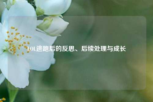 LOL逃跑后的反思、后续处理与成长