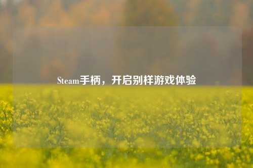 Steam手柄，开启别样游戏体验
