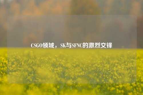 CSGO领域,SK与SFNC的激烈交锋