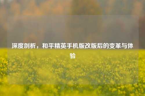 深度剖析,和平精英手机版改版后的变革与体验