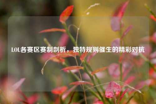 LOL各赛区赛制剖析,独特规则催生的精彩对抗
