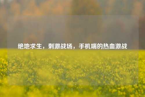 绝地求生，刺激战场，手机端的热血激战