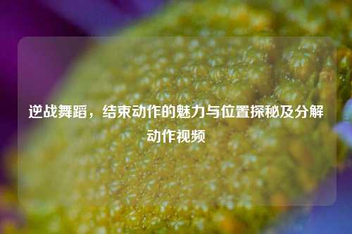逆战舞蹈,结束动作的魅力与位置探秘及分解动作视频