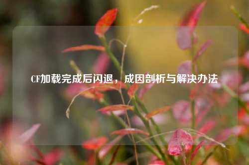 CF加载完成后闪退，成因剖析与解决办法
