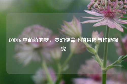 COD16 中萌萌的梦，梦幻使命下的冒险与性能探究