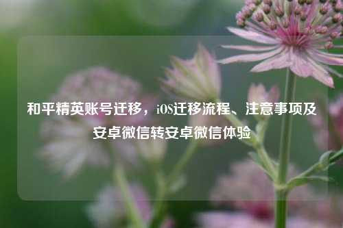 和平精英账号迁移,iOS迁移流程、注意事项及安卓微信转安卓微信体验
