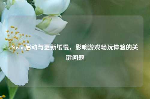 Steam启动与更新缓慢，影响游戏畅玩体验的关键问题