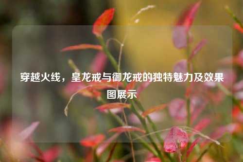 穿越火线，皇龙戒与御龙戒的独特魅力及效果图展示