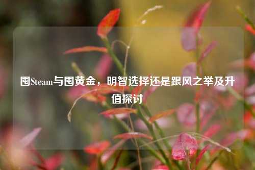 囤Steam与囤黄金，明智选择还是跟风之举及升值探讨