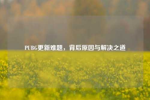PUBG更新难题,背后原因与解决之道